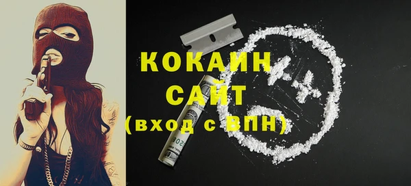 шишки Карпинск