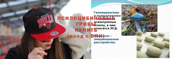 ECSTASY Абаза