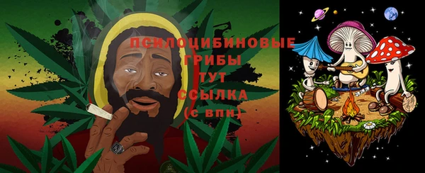ECSTASY Абаза