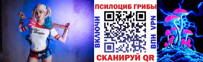 где найти наркотики  OMG сайт  Галлюциногенные грибы MAGIC MUSHROOMS  Миллерово 
